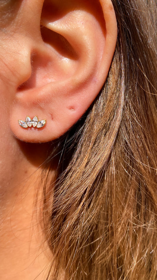 Piercing Le Quatro